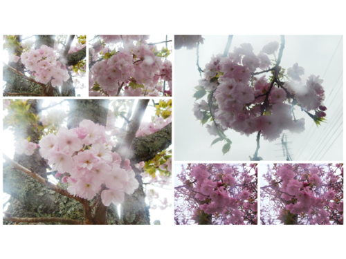 b0352112_17395931.png