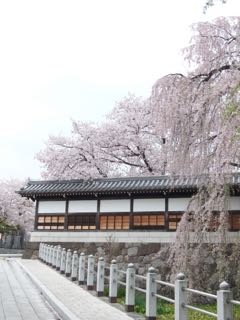 b0309813_22482413.jpg