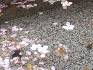 b0309813_2248959.jpg