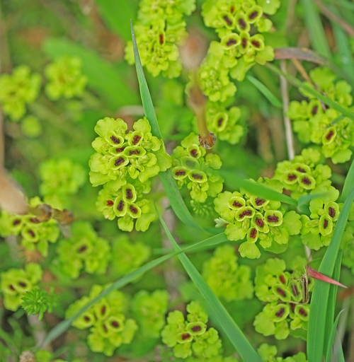 c0104227_19225569.jpg