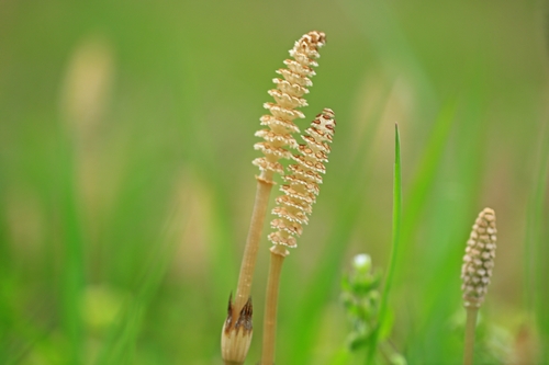 c0104227_2063823.jpg
