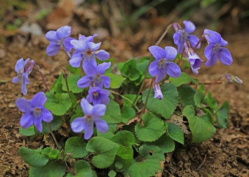 c0104227_2112544.jpg