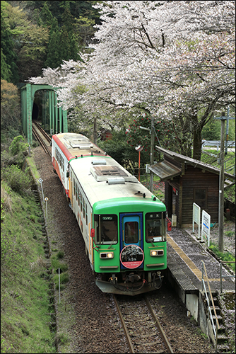 f0078127_17274646.jpg