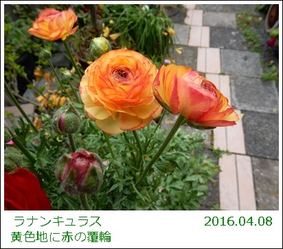 e0033229_1934328.jpg