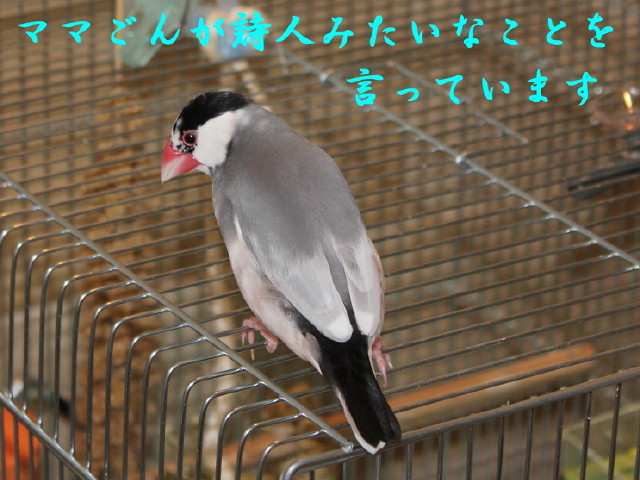 c0365734_22381420.jpg