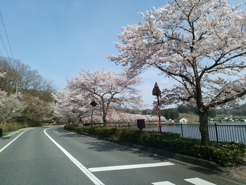 c0300035_17405735.jpg