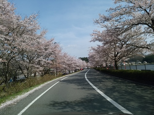 c0300035_17411338.jpg