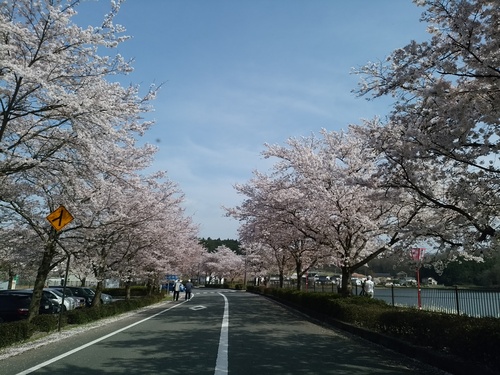 c0300035_17414799.jpg