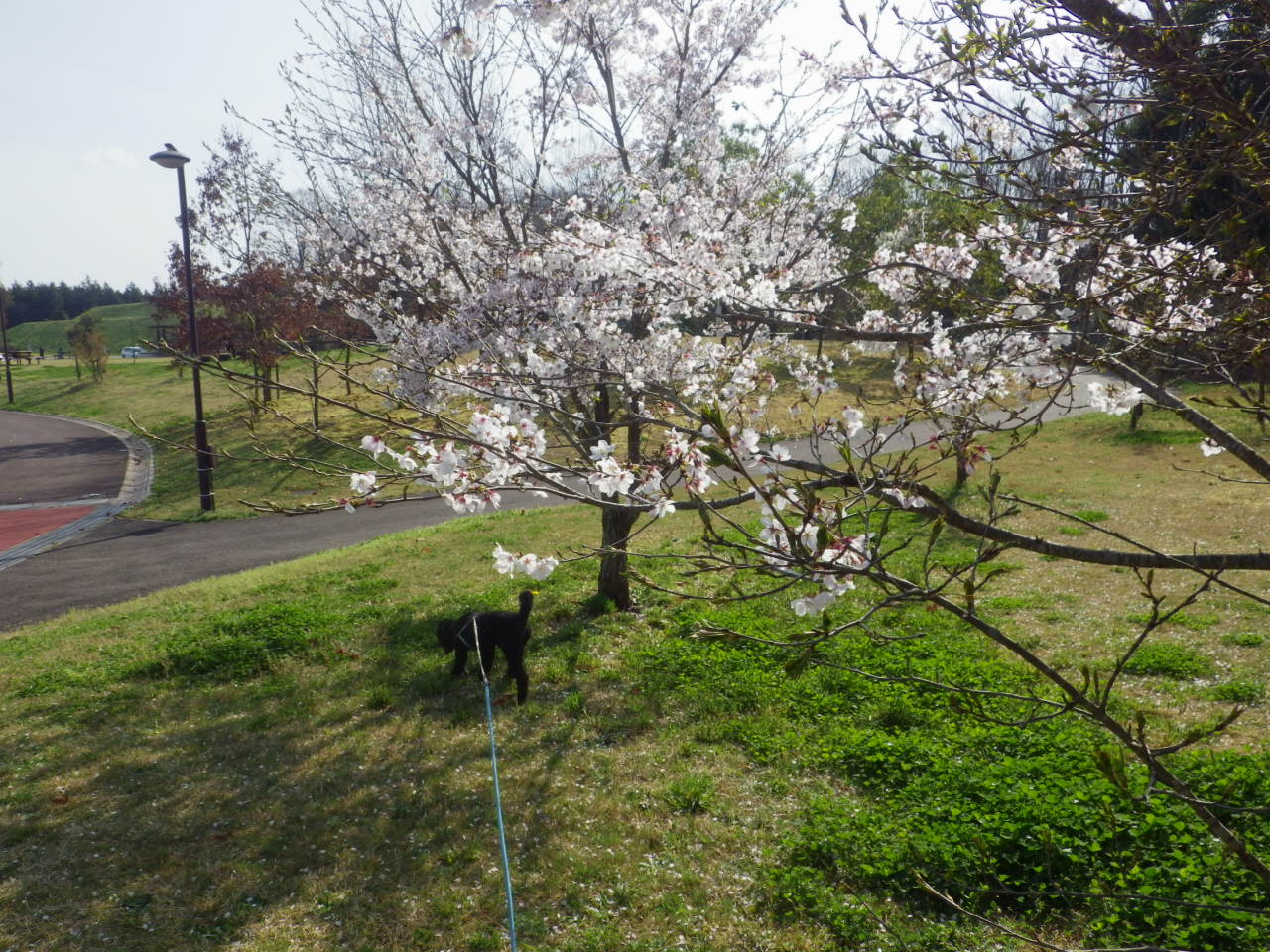 c0300035_17425370.jpg