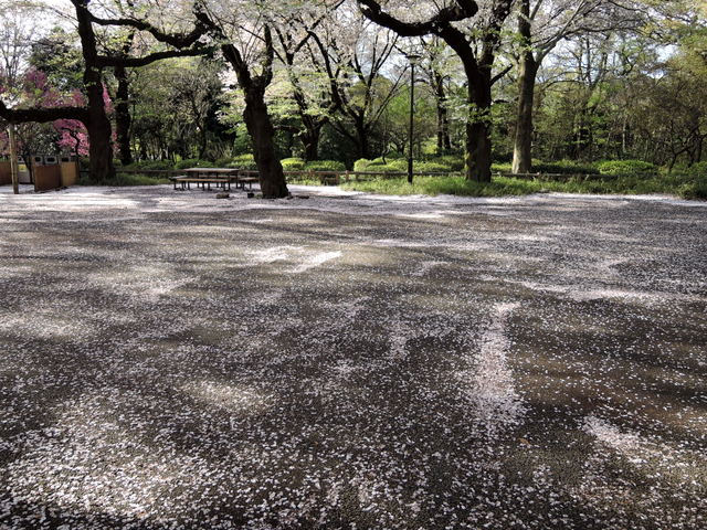 b0075140_1043575.jpg