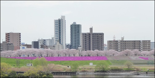 c0128342_21424545.jpg