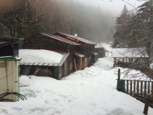c0369344_07565418.jpeg