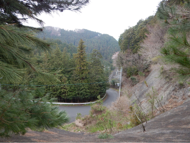 b0136045_20360031.jpg
