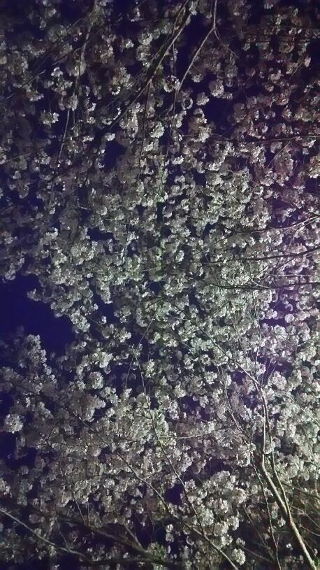 b0193647_10382091.jpg