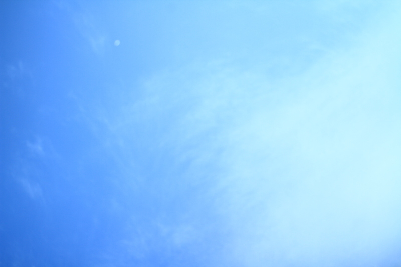 c0261349_23050161.jpg