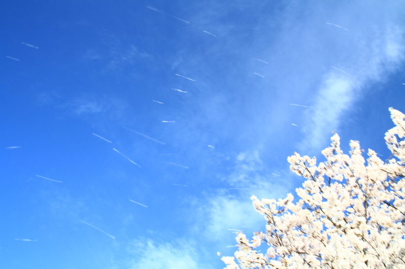 c0261349_23371668.jpg