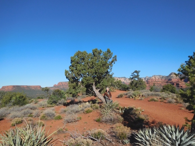 b0173754_14110425.jpg