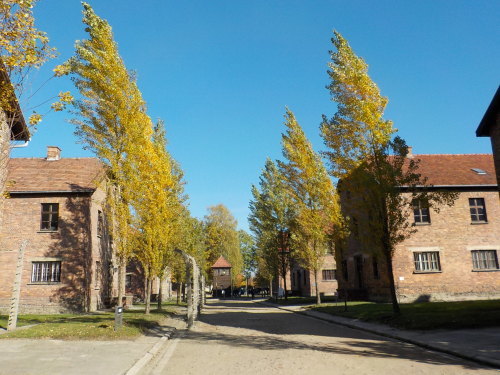 c0351060_19353899.jpg