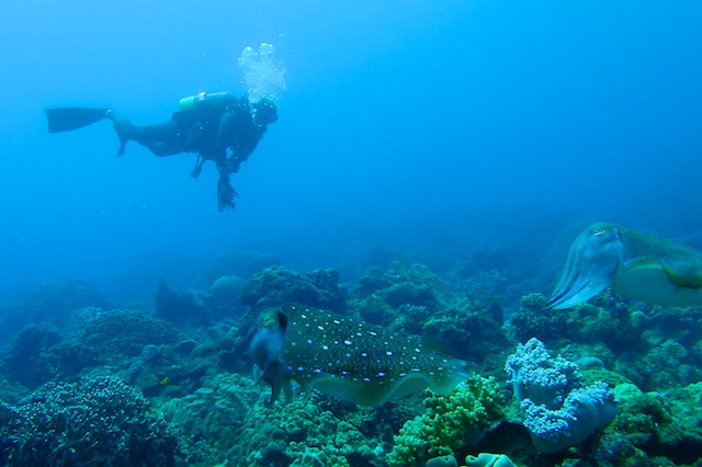 b0062363_6542130.jpg
