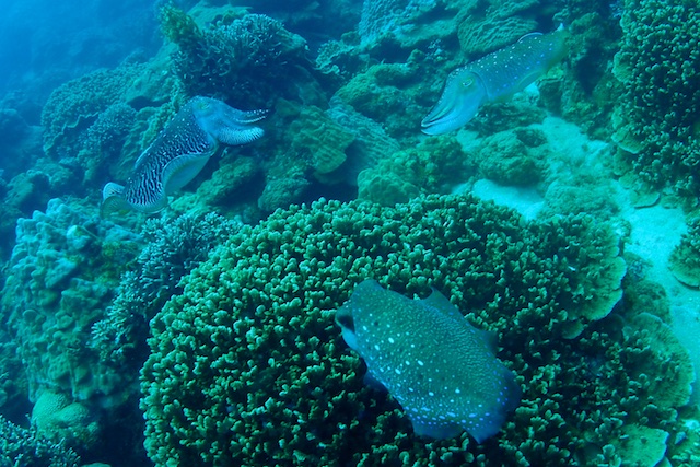 b0062363_655372.jpg