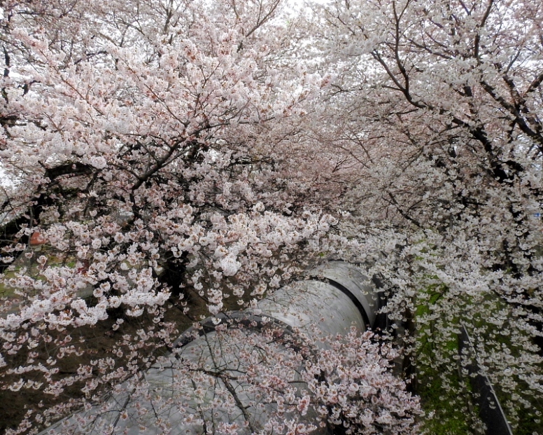 c0305565_18151189.jpg