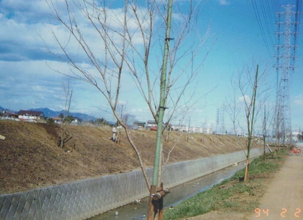 b0158170_10441150.jpg