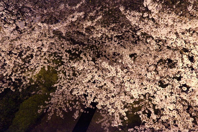 c0196076_6233290.jpg