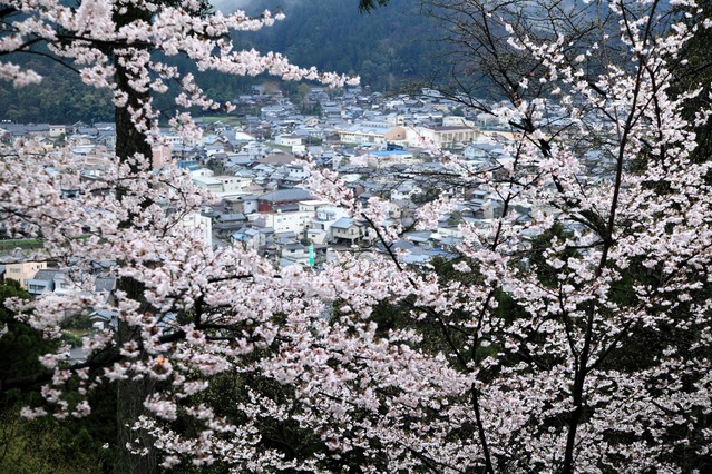 c0196076_6353418.jpg