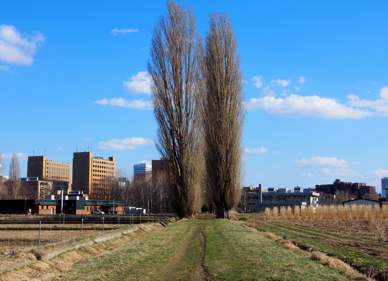 c0183777_9144855.jpg