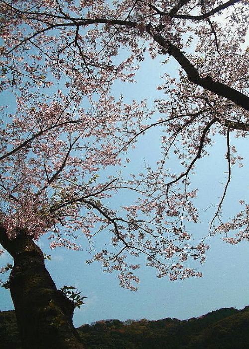 c0357781_20120542.jpg