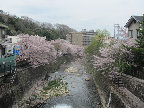 a0251786_2040269.jpg