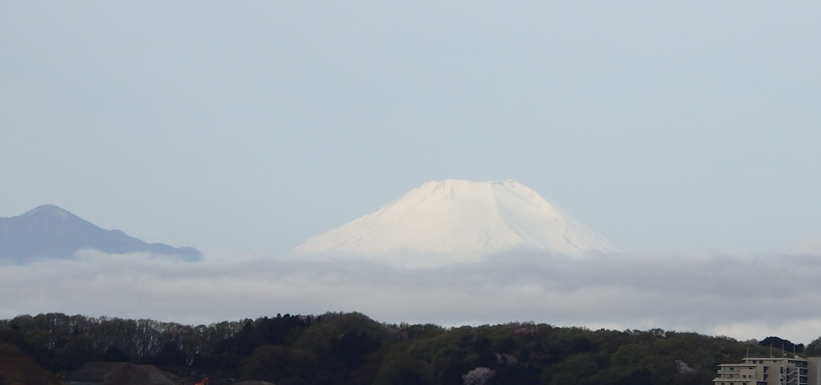 b0197486_16562095.jpg