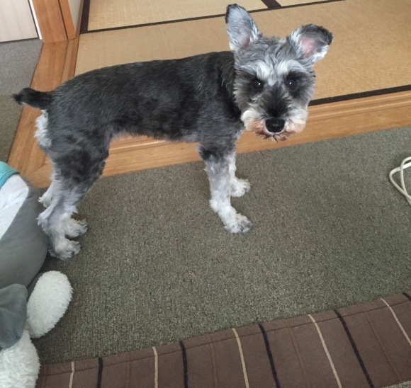 b0188998_21185177.jpeg