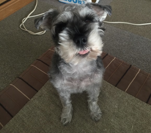 b0188998_21190159.jpeg