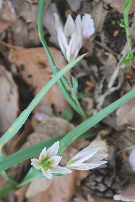 e0025300_2162565.jpg