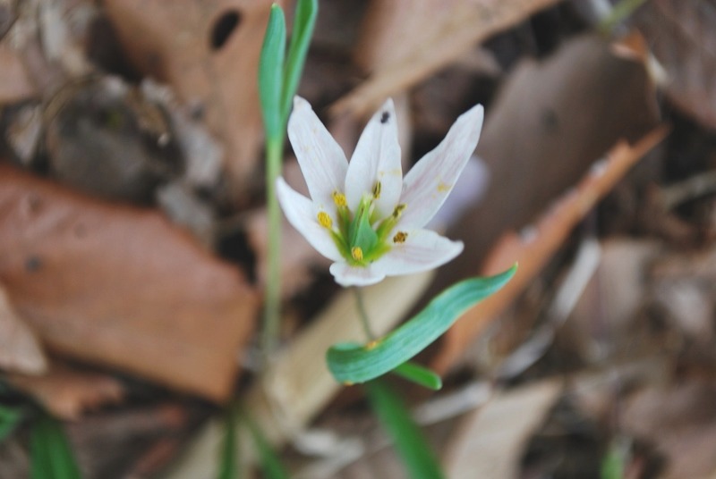 e0025300_2165044.jpg