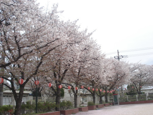 e0353802_16440007.jpg