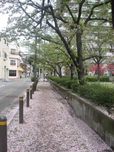e0353802_16464483.jpg