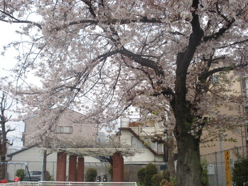 e0353802_16491478.jpg