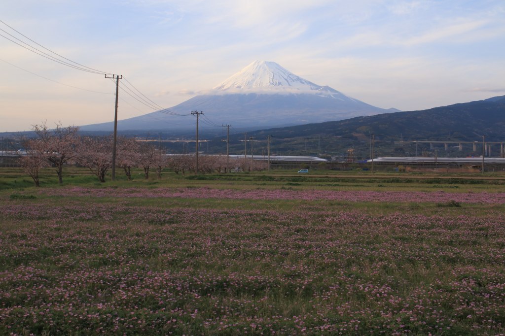a0188405_09205282.jpg