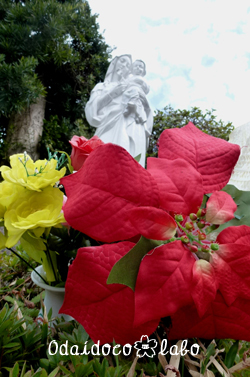 b0238306_4105970.jpg