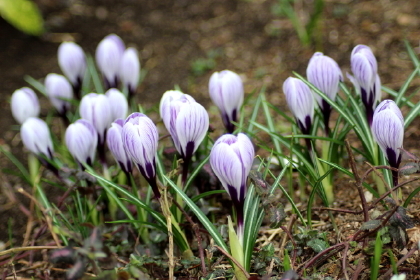 f0041606_17090454.jpg