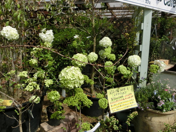 a0139007_21191253.jpg