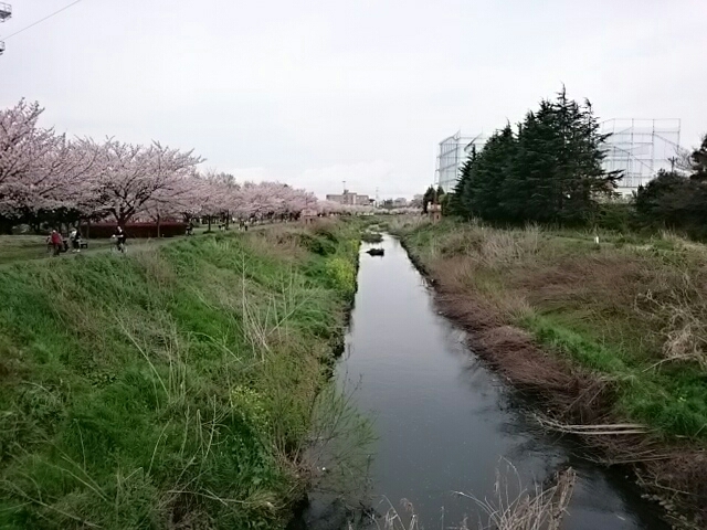 b0004410_22191018.jpg
