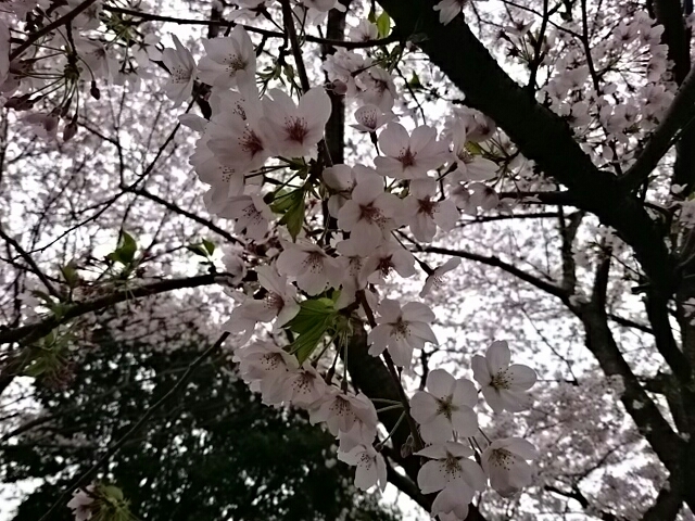 b0004410_22191262.jpg