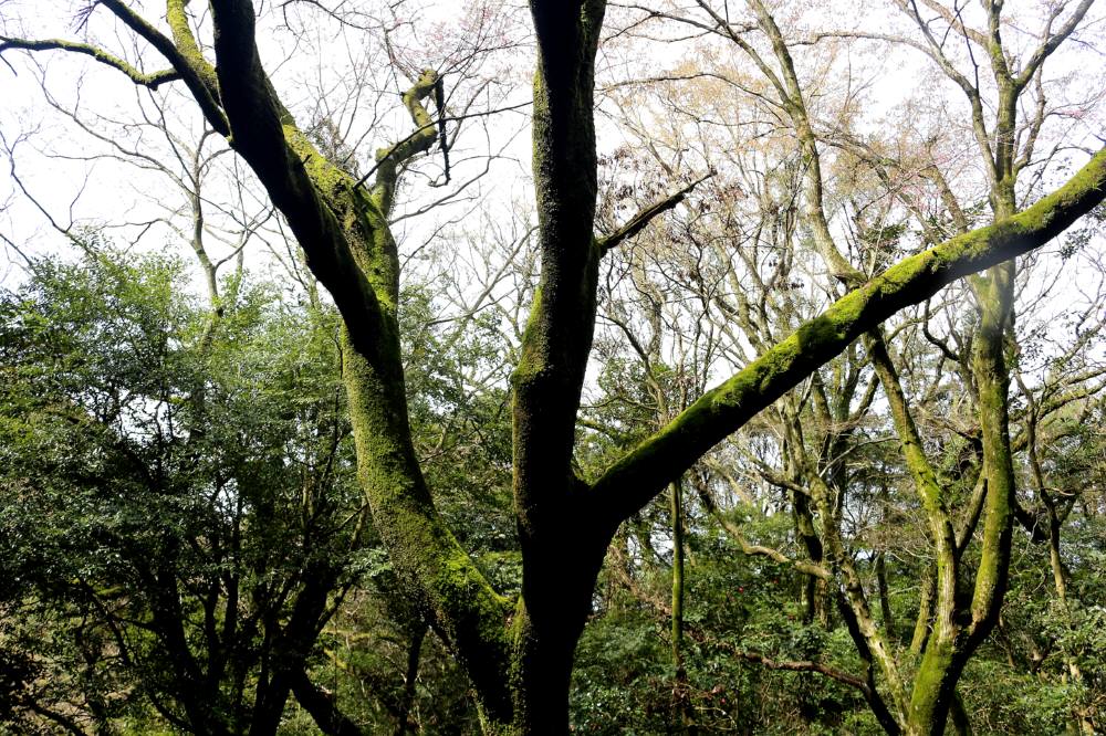f0212511_11552137.jpg