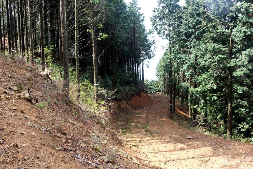 f0212511_11553891.jpg