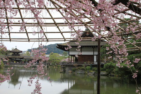 e0048413_227781.jpg