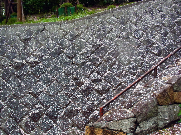 e0083517_22595266.jpg