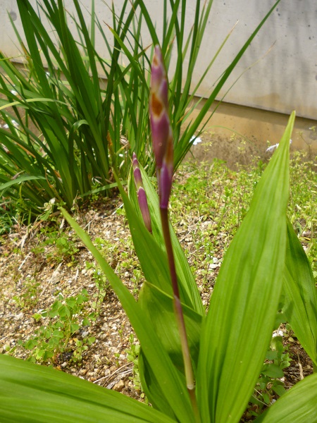 f0228619_21154069.jpg
